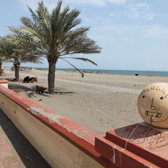 qurayyat ash sharqiyah Oman 005