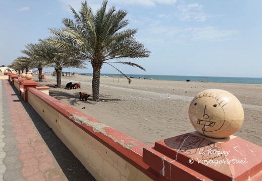 qurayyat ash sharqiyah Oman 005