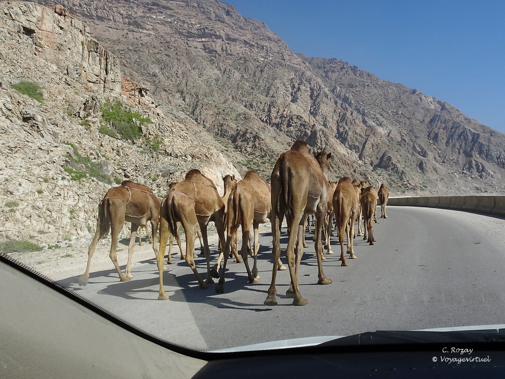 Oman 2018 11 12 09 54 53 34334 road salalah duqm