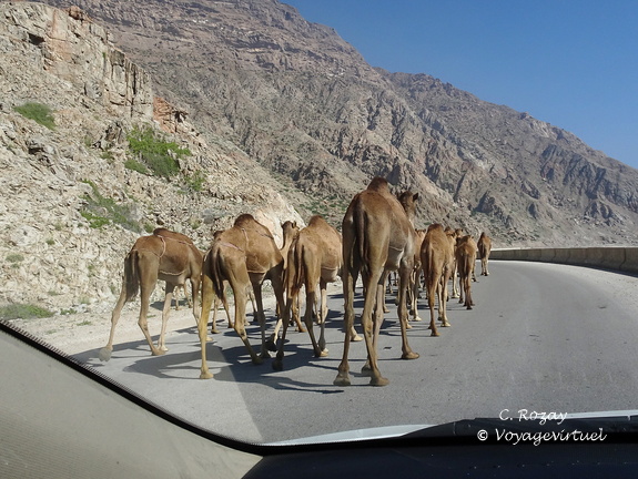 Oman 2018 11 12 09 54 53 34334 road salalah duqm