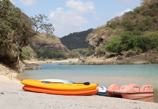 Oman pédalos et dromadaires Wadi Darbat