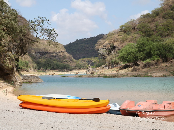 Oman pédalos et dromadaires Wadi Darbat
