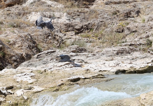 Oman 2018 11 09 11 03 16 wadi darbat salalah