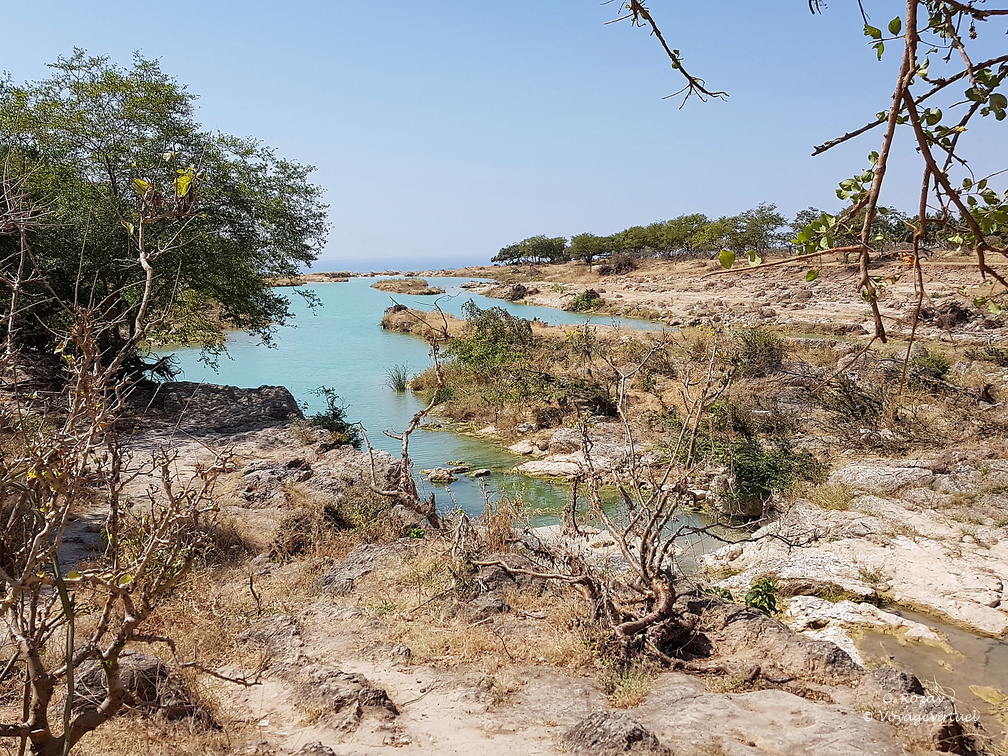 Oman 2018 11 09 11 24 wadi darbat salalah