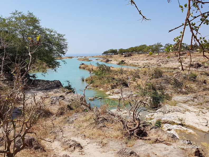 Oman 2018 11 09 11 24 wadi darbat salalah
