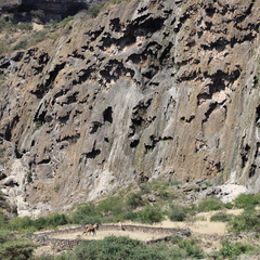 Oman falaise Tavertine Curtain wadi darbat salalah