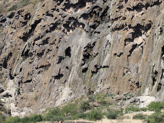 Oman falaise Tavertine Curtain wadi darbat salalah