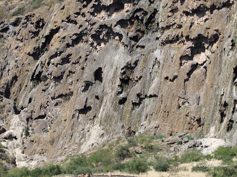 Oman falaise Tavertine Curtain wadi darbat salalah