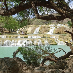 Oman 2018 11 09 12 27 wadi darbat salalah