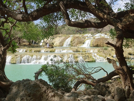 Oman 2018 11 09 12 27 wadi darbat salalah