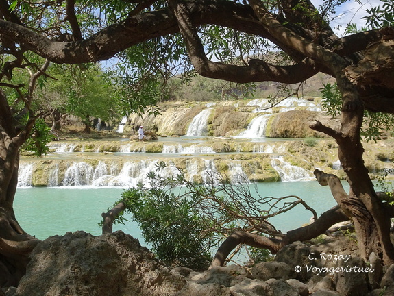 Oman 2018 11 09 12 27 wadi darbat salalah