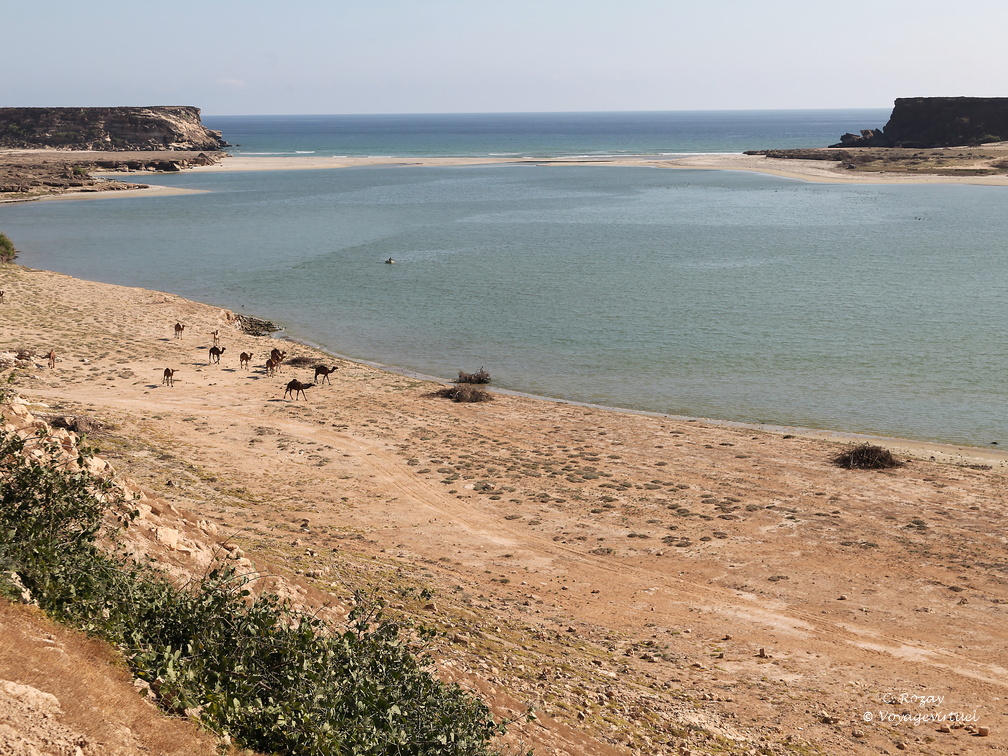 Oman lagune de Samahram city Salalah
