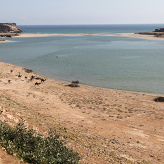 Oman lagune de Samahram city Salalah