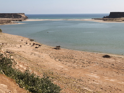 Oman lagune de Samahram city Salalah