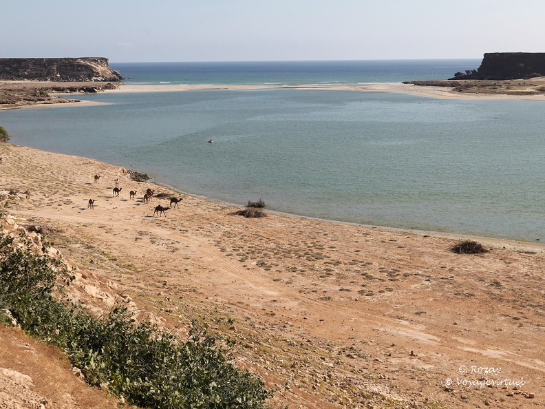 Oman lagune de Samahram city Salalah