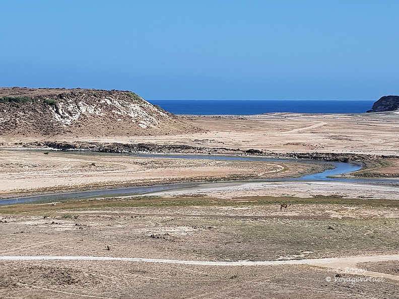 Oman méandre de wadis Samahram city Salalah