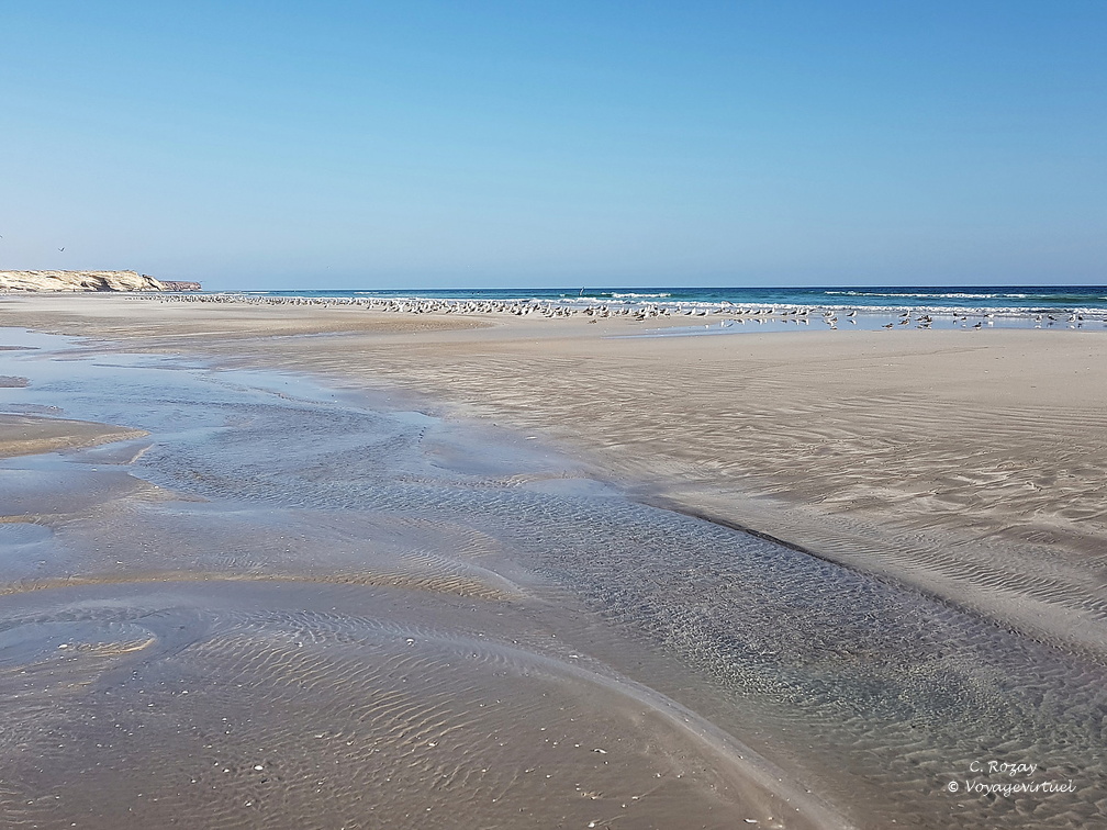 Oman plage de Taqah