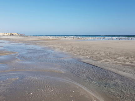 Oman plage de Taqah