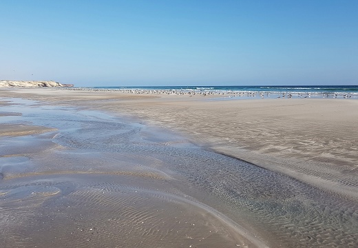 Oman plage de Taqah