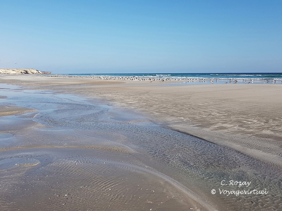 Oman plage de Taqah