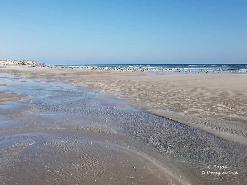 Oman plage de Taqah