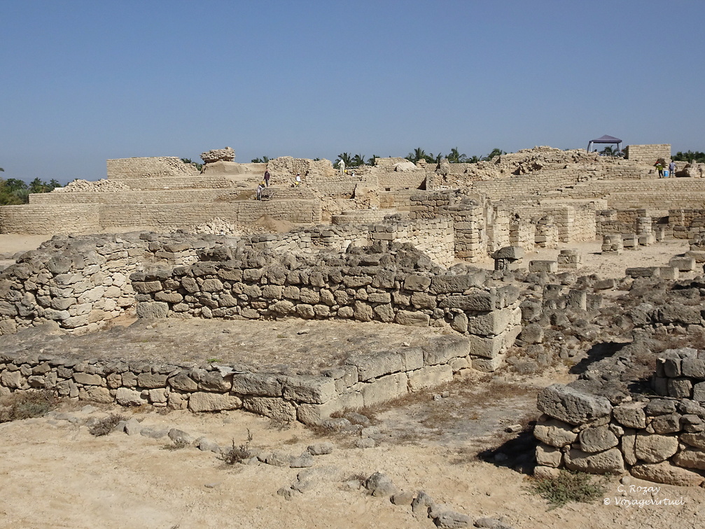Oman Al Balid Archeological Site Salalah
