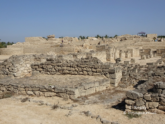 Oman Al Balid Archeological Site Salalah