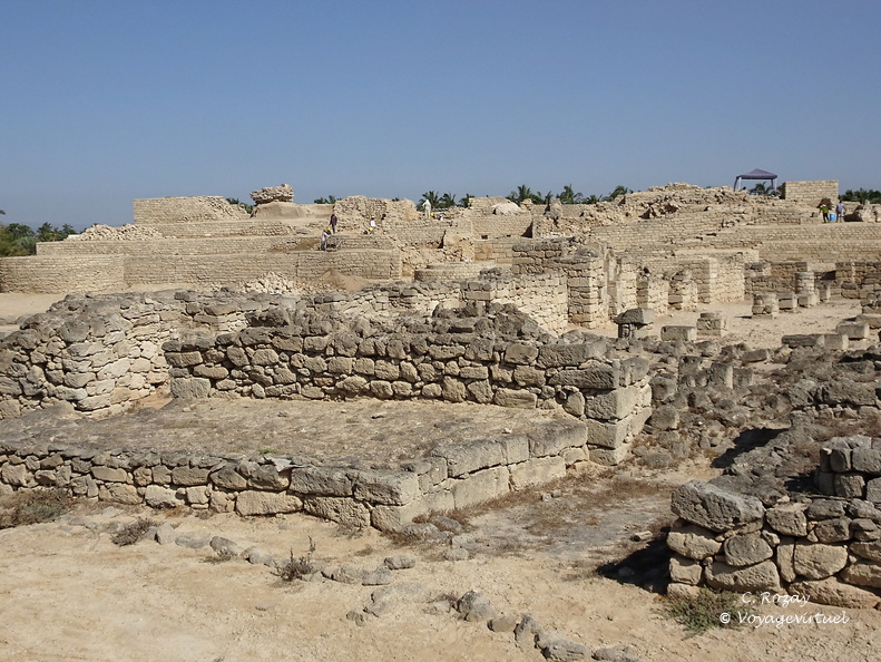 Oman Al Balid Archeological Site Salalah