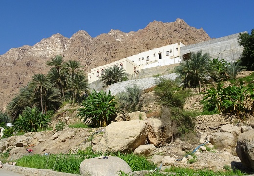 Oman 2018 11 14 10 43 53 34334 entre sur et quriyat