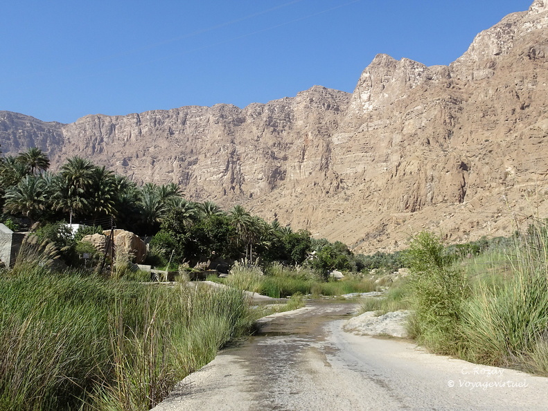 Oman 2018 11 14 10 46 wadi tiwi