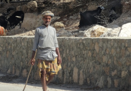 Oman 2018 11 14 11 48 wadi tiwi