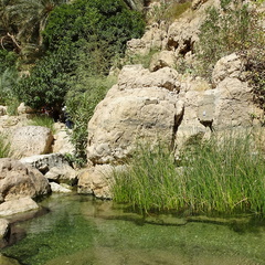 Oman 2018 11 14 13 01 wadi shab