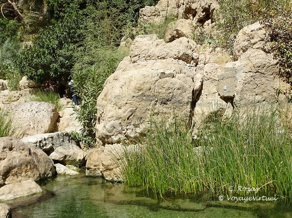 Oman 2018 11 14 13 01 wadi shab