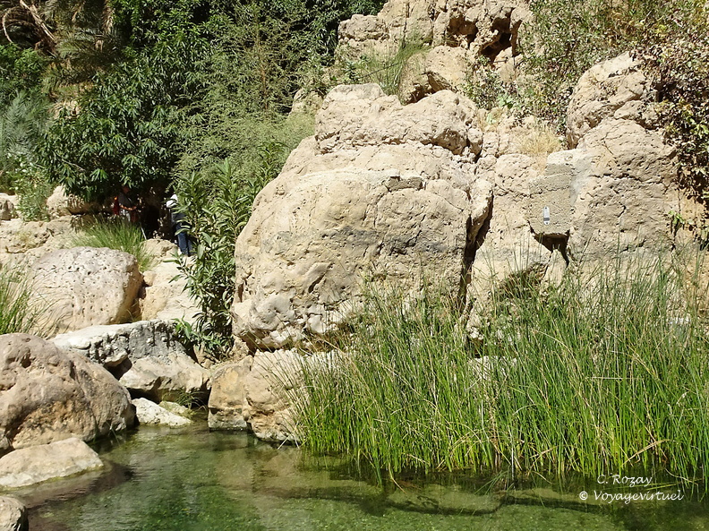 Oman 2018 11 14 13 01 wadi shab