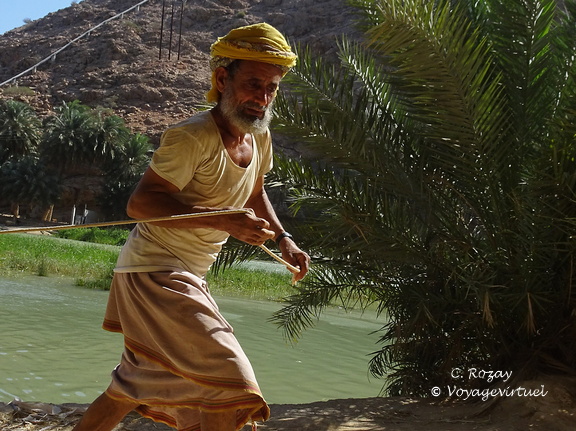 Oman 2018 11 14 13 30 wadi shab