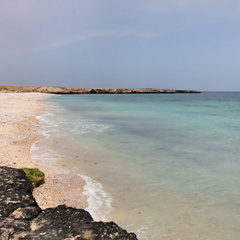 fins white beach ash sharqiyah Oman 005
