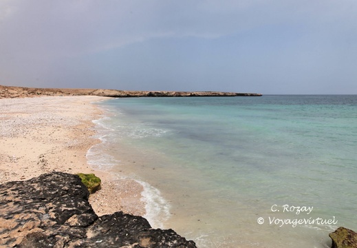 fins white beach ash sharqiyah Oman 005