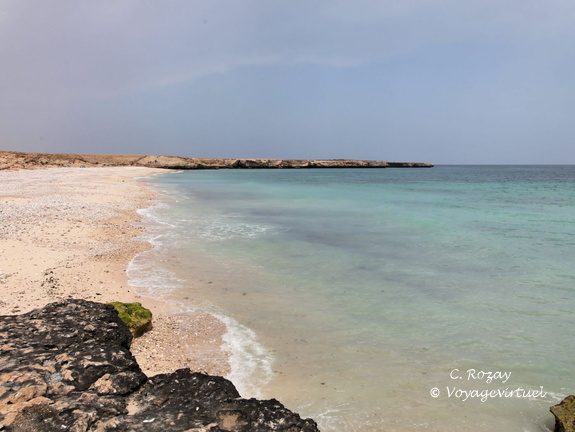 fins white beach ash sharqiyah Oman 005