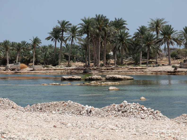 tiwi ash sharqiyah Oman 001