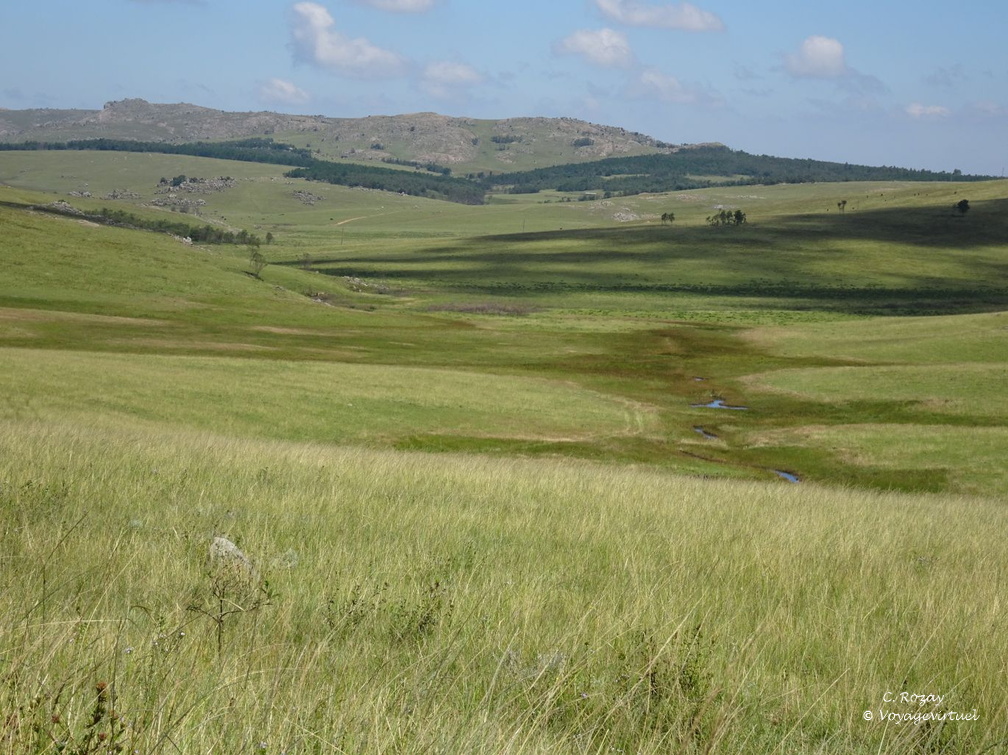 swaziland 003