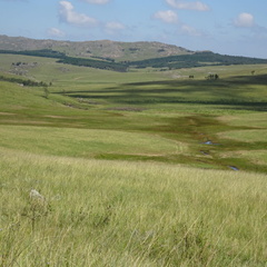 swaziland 003