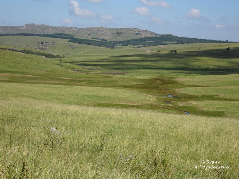 swaziland 003