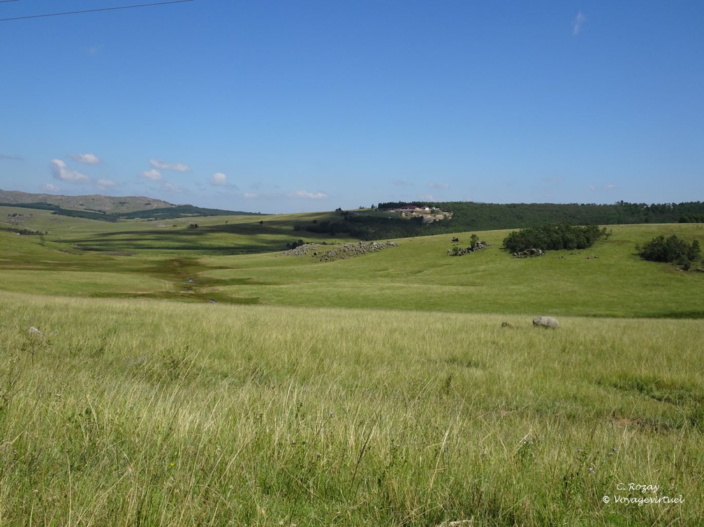 swaziland 004