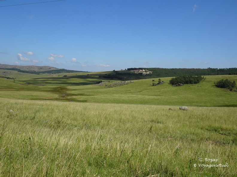 swaziland 004