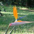 swaziland 012