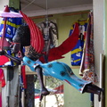 swaziland 016