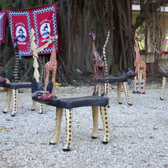 swaziland 020