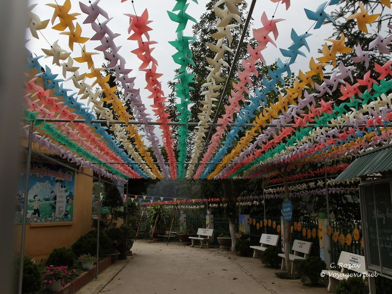 bac ha Vietnam 18 11 17 13