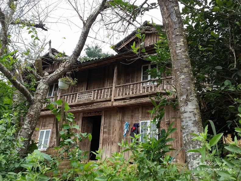 bac ha Vietnam 18 11 17 17