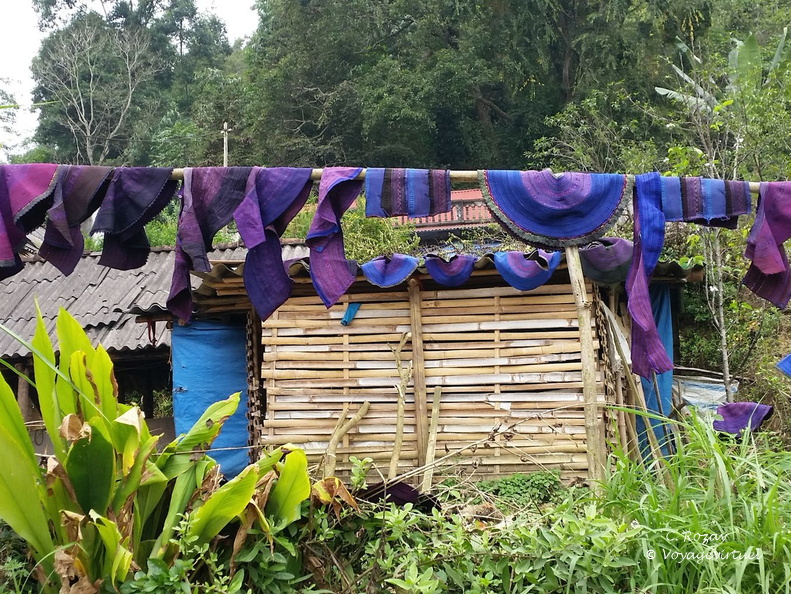 bac ha Vietnam 18 11 17 19